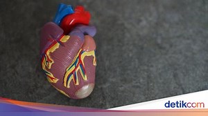 Berapa Banyak Katup yang Dimiliki Jantung Manusia? Ini Penjelasan dan Fungsinya
