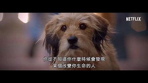 有隻咁得意嘅狗狗跟住你，唔係唔帶埋佢返屋企阿嘛？ #小狗班吉 聽日3月16日溫馨上架！#小狗 #BENJI DOG MOVIE ALERT: #BenjiTheMovie comes to Netflix tomorrow March 16. | Netflix