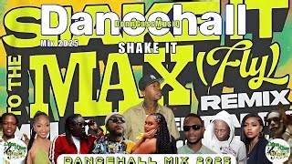 Dancehall Mix 2025 Mp3 & Mp4 Download - clip.africa.com