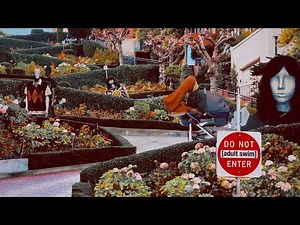 [adult swim] - July 31, 2022 Bumps