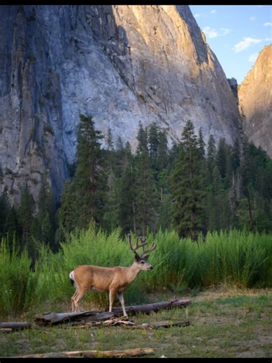 Saving Our Planet: A Call to Action