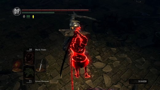 Killing a Cheater Using The Basilisks DARK SOULS REMASTERED