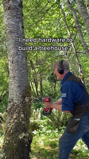 Nelson Treehouse on TikTok