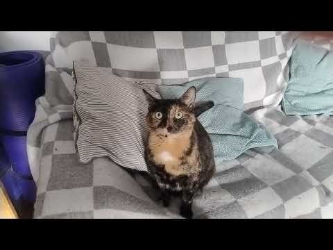 Frosty roasts Eli the Computer Guy