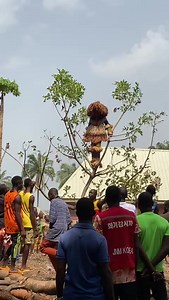 451K views · 1.9K reactions | African Igala Culture  Igalaland, The land of wonders✅, spiritual and miracle  #igalaforever | Indigenous Igala People Worldwide | Facebook