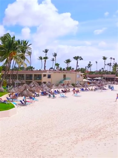 Step into unrivaled beach views nestled into a tropical paradise here in Aruba 🏖️ Take in unforgettable all-inclusive dining, a prime beachside location, and the ultimate atmosphere for relaxation. Discover your new favorite escape, where everything you desire is here waiting for you—bit.ly/3EbEKAt . . . . #diviaruba #finditall #aruba #carribean #arubaallinclusive #arubavacation #onehappyisland #drinks #arubaeats #arubaeats #paradise #tropicalparadise #tropicalvacation | Divi & Tamarijn Aruba A