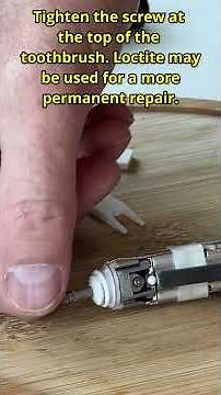 Sonicare Toothbrush Disassembly