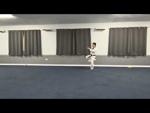 Basic Techniques | 3rd Line - Kicks, Hand blocks and strike combinations