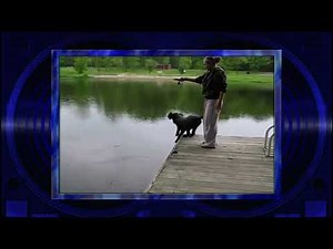 AFV Video Remix: Season 22 Episode 11