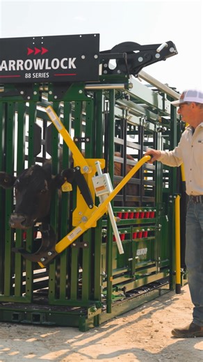 No more cattle balking at the chute. Just calm, quiet flow. The world's quietest chute, the Arrowlock 88 is built to keep things calm, quiet, and moving forward. Its true heavy-duty rubber Infinity Floor absorbs sound and impact. Poly-coated slam latches, nylon rump fingers, and nylon u-blocks on the head gate and tail gate eliminate that metal-on-metal racket that makes cattle back up. The result? A smoother, safer handling experience for you and your herd. #arrowquip #arrowlock88 #quietcattlef