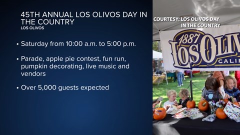 From a car show to cats at a bookstore, here are 6 things happening this weekend