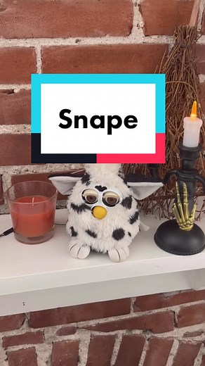 Exploring the Magic of Harry Potter with Arduino and Furby in Toronto, Canada