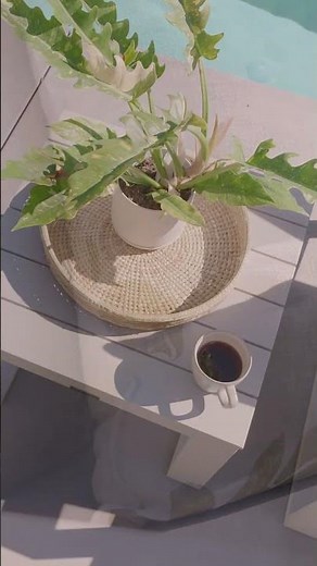 Modern Poolside Inspiration | Luxury Outdoor Furniture by Terra Outdoor
