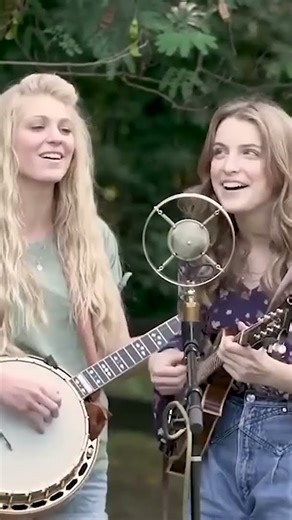 The Petersens - Dreams