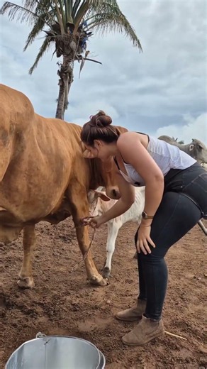 Morning Chores on Our Peaceful Rural Farm 🐄🌿