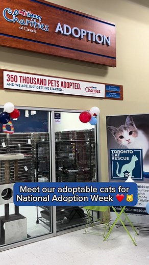 Adopt a Rescue Cat from Adoptathon at PetSmart this Weekend!