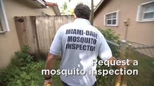 20 reactions | Don't let skeeters ruin your outdoor plans. Request a mosquito inspection in #OurCounty by using the 311 Direct app. Get more tips from Miami-Dade County Mosquito Control & Habitat Management to protect yourself from these pesky insects by visiting miamidade.gov/mosquito. | Miami-Dade County Government | Facebook