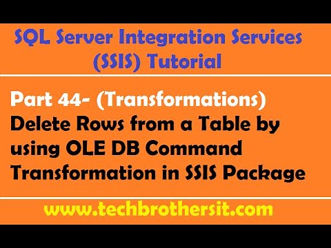 SSIS Tutorial Part 44- Delete Rows from a Table by using OLE DB Command Transformation