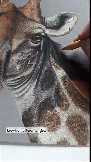 ***5 TIPS to DRAW FINE LINES lines in your animal portraits!***