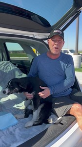 Update: Hope ❤️ We just picked her up and we’re heading back to Kansas City, where we will be meeting the doctors at the Mission Veterinary Emergency & Specialty. Please say a prayer beautiful girl. ￼🙏 ￼Please donate if you can Onamissionkc.org | Mission Driven