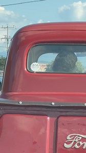 Pigeon forge TN | Ford f100 World