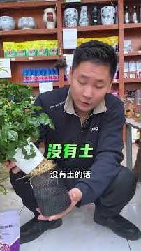 Master Hydroponic Gardening: The Ultimate Guide for Beginners