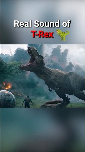 Real Sound of T-Rex Dinosaur 🦖