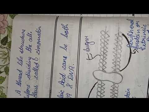 Class 9th chapter 1 notes videos 📷 🎀🥰