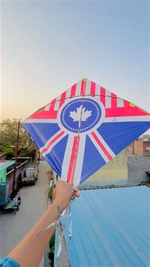 Canada 🇨🇦 kite looting 🪁#patang #kite #youtubeshorts #shorts