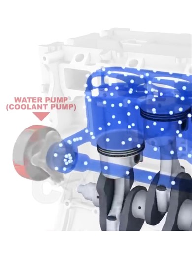 How water pump works | Water Pumps