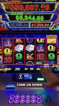 Day 46: Betting $1 Million to WIN $1 Million ♥️ The stakes DO NOT get higher #casino #slot #bonus