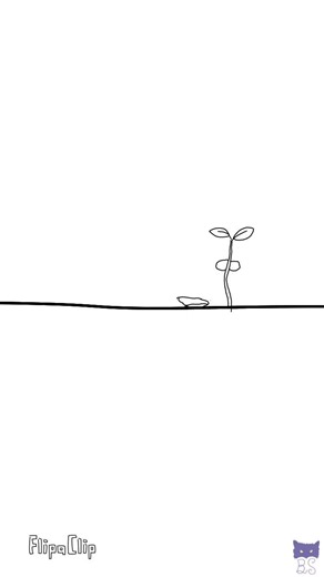 From seed to tree complete animation video🌱. #tree #animation