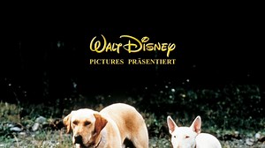 The Incredible Journey - Apple TV