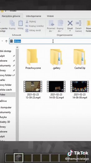 Jak widzieć w ciemności poradnik. #minecraft #lifehacksminecraft #poradnikminecraft #dlaciebie #foryou #poradnik #fullbright