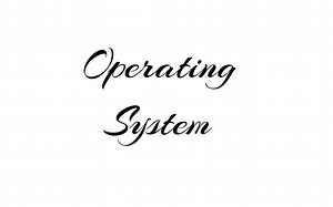 Operating System