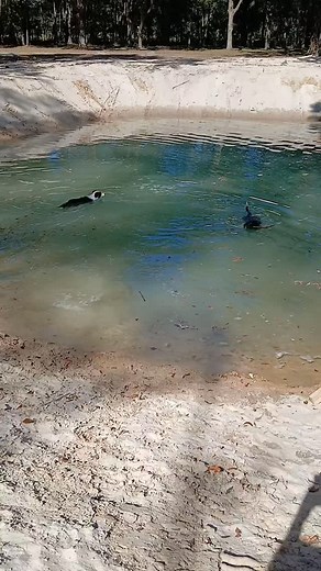 Gary Patterson on Reels | Facebook