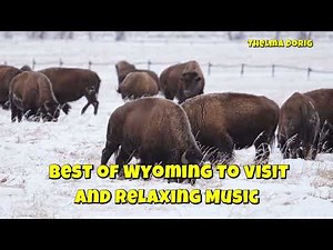 Wyoming's Hidden Nature Gems Revealed!