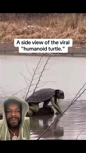 #greenscreenvideo #swamp #monster #humanoid #tiktok | monster videos