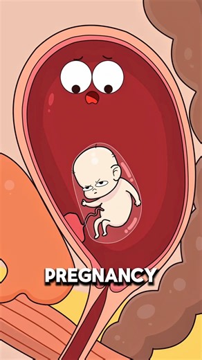 Why Morning Sickness Happens in Early Pregnancy 🤰⚠️..!!#e2dhealth #animation #2dshow #fypシ #health