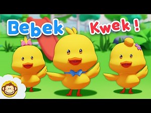 Nursery Rhymes | Duck Song | Kids