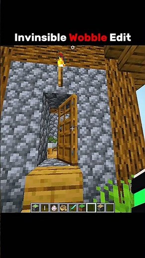 Invinsible Wobble Edit be like!