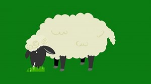 Racon Eatingsheep Eatshark Swimmingrat Eatingracon Running Stock Footage Video (100% Royalty-free) 3470102781 | Shutterstock