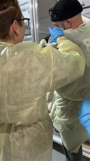 🩺 Biosecurity & Testing Protocol Update 🩺 We want to reassure everyone that strict precautions are being followed while collecting test samples from our pups to prevent any risk of cross contamination. During testing, everyone is wearing gloves and protective gowns at all times. Needles and swabs are handled carefully and are never touched directly by hand. Each sample is collected using sterile supplies, and protocols are followed between every single pup to ensure that sanitation is maintain