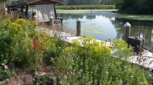 Shoreline restoration initiative underway for the Lake Winnebago System