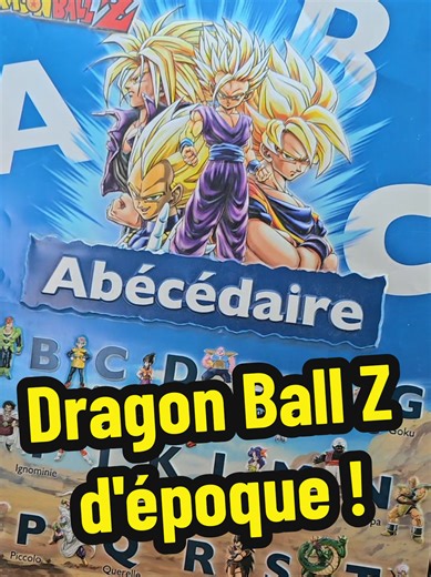 Qui a connu ce abécédaire Dragon Ball Z de 1989 ? 😁 #vintage #dbz #videgrenier #achat #enfance
