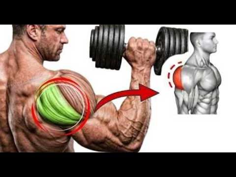 10 Best Rear Deltoid Exercises (EFECCTIVE)
