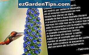 Ciclo de vida de Botrytis 🌱 Tips Jardineros - Es.ezGardenTips.com