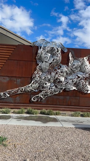 1.1K views · 574 reactions | Pima Animal Care Center was facing critical overcrowding with nearly 600 dogs in their kennels. Thanks to more than 100 adoptions this week, they’re aiming to bring that number down to 375 or fewer with today’s Fall Festival. The shelter is featuring free adoptions, food trucks, games and hundreds of pets waiting for a home until 4 p.m. Pima Animal Care Center is located at 4000 N Silverbell Rd. | Arizona Daily Star | Facebook