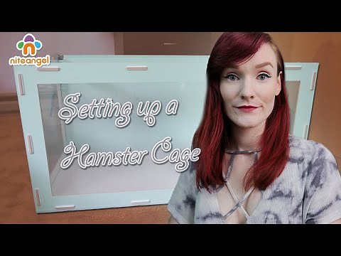 Niteangel Bigger World Syrian Hamster Cage Setup! | Munchie's Place