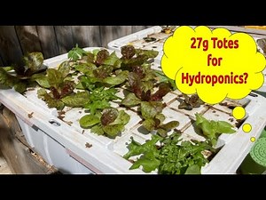 27g TOTES🥇BEST OVERALL Bins for Backyard Hydroponic Gardening! Why?... Let Me Show You!